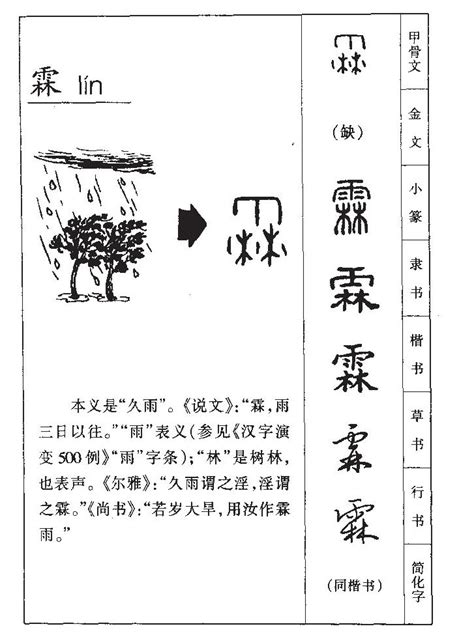 霖字意思|霖（汉语文字）